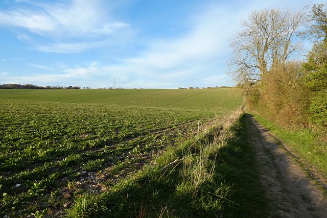Farmland, Hannington