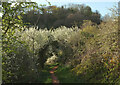 Blackthorn gateway, John Musgrave Heritage Trail