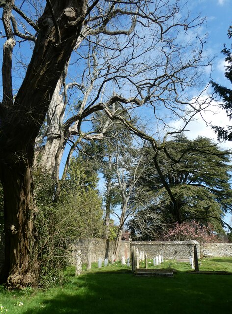 Woolbeding Churchyard: mid April 2021