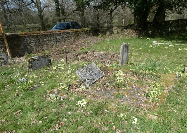 Iping Marsh: a spring churchyard (2)