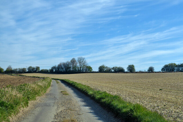 Road towards Frieth © Robin Webster cc-by-sa/2.0 :: Geograph Britain ...