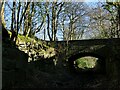 Clara Drive bridge over Calverley Cutting