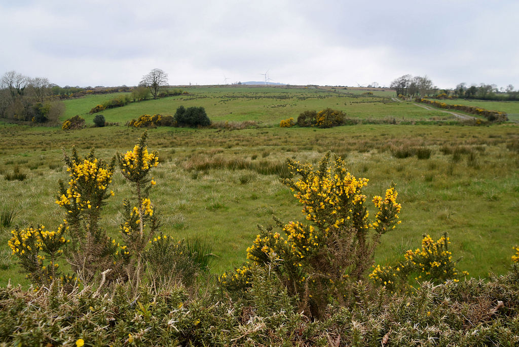 Whins, Gortinagin © Kenneth Allen :: Geograph Ireland