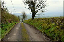 H4180 : Gortnacreagh Road, Gortinagin by Kenneth  Allen