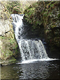 NJ2641 : Waterfalls at Linn of Ruthrie by Anne Burgess