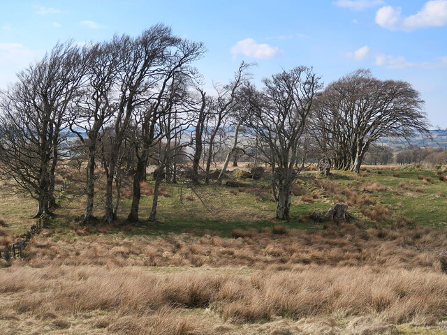 Site of Strutherhead near Dungavel
