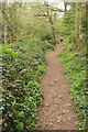 Footpath, Powsey Moor