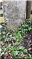 Benchmark on gatepost at field gateway on west side of road opposite West Lodge