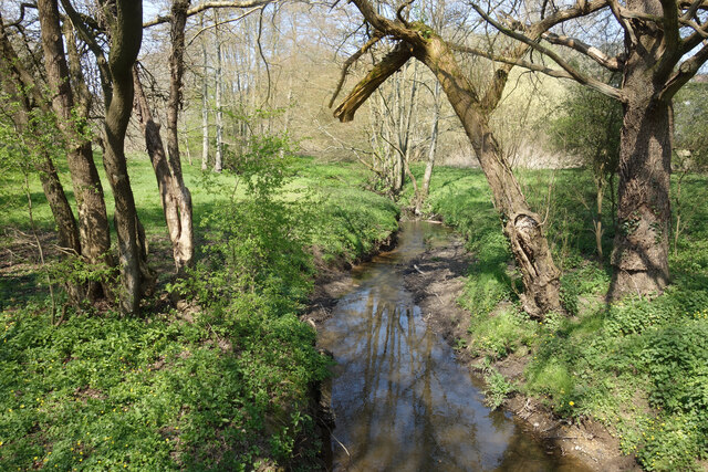 Stream at Axmansford © Des Blenkinsopp :: Geograph Britain and Ireland