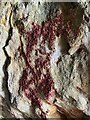 Red lichen on rocks