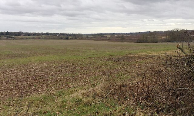 Farmland at Crackley, February 2021