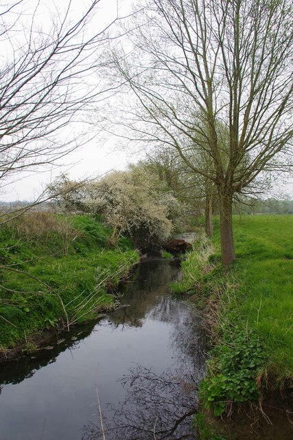 Stour Brook Near the End of Linnets Lane