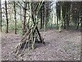 Another bushcraft shelter