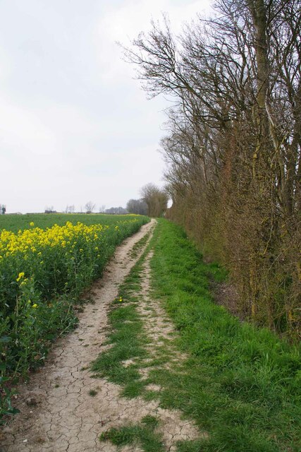 Essex Suffolk Border Path