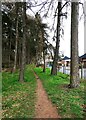 Footpath running through Vicarage Farm Heath, Kidderminster, Worcs