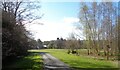 Driveway to Monteviot House and Old Stable Block