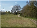 Burlish Top Nature Reserve