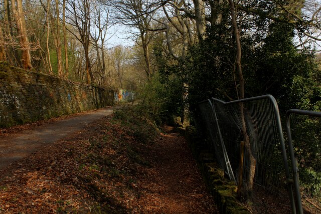 Track and Footpath in Wood Bottom