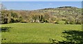 View from Peak Forest Canal towpath