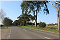 Thetford Road south of Thetford