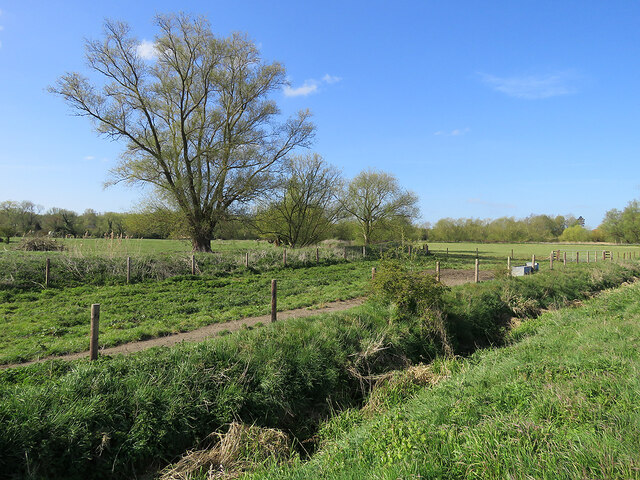 The tree-lined Cam at Hauxton Meadows