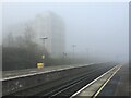 SU6352 : A very misty morning by Fernweh