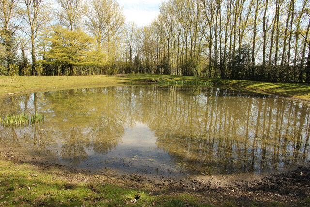 Middle Farm pond
