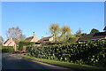 Houses on Mildenhall Road, Barton Mills