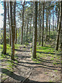 Permissive path from Bradshaw Road to Wolfstones Height, Netherthong