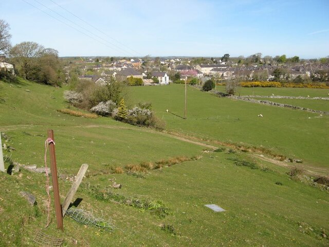 Bontnewydd pastures