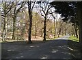 Driveway into Glasgow Golf Course