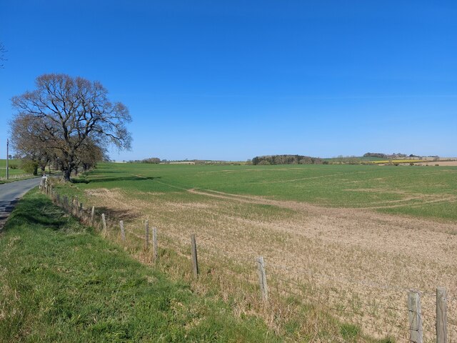 Arable field at Twizell Cottage