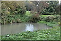 Pond, east of Langley Loch