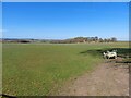 Grassland at Bolam West Houses