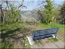 ST5673 : Seat with a view of the Avon Gorge by Roger Cornfoot