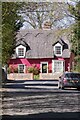 A Thatched Cottage in Cavendish