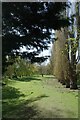 A Riverside Walk in Cavendish