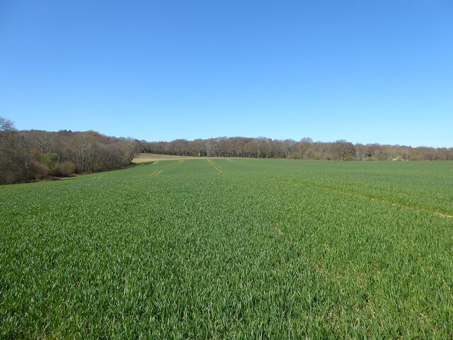 Eight Acre Pasture Lay/Long Field