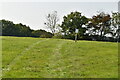 Footpath across field