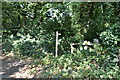 Footpath signpost, Kingsley Hill