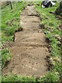 Uncovered trod near Hollins Farm