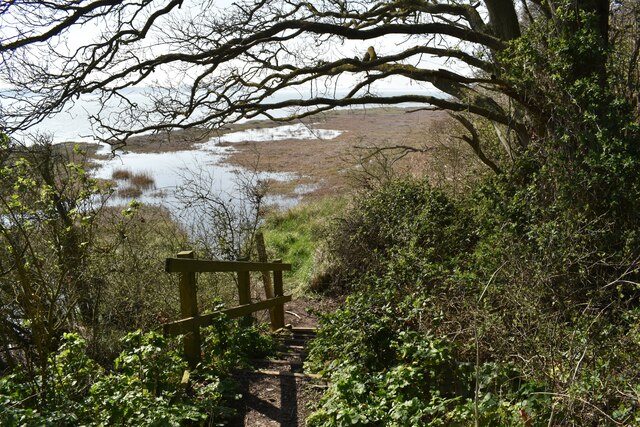 Path descending to the saltings