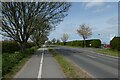 Cycle path along Millfield Lane