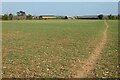 SU4376 : Farmland, Leckhampstead by Andrew Smith