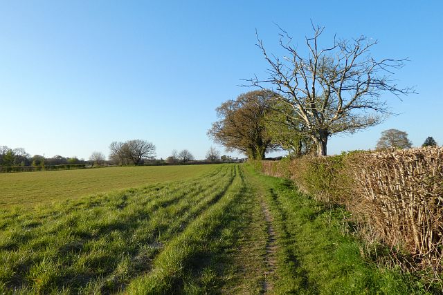 Farmland, Leckhampstead