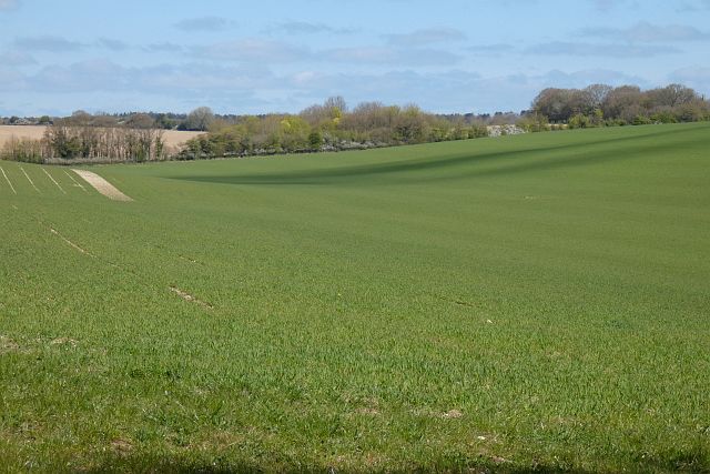 Farmland, Peasemore