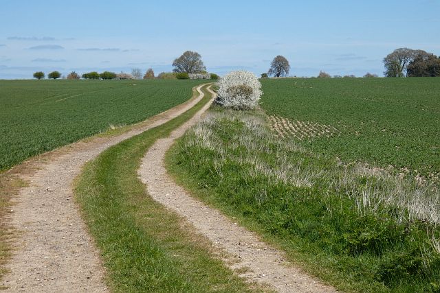 Track and farmland, Beedon