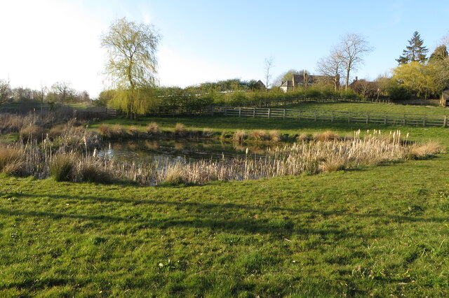 Pond on the way in to Thenford