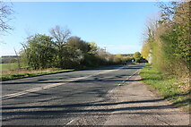 SU5135 : Basingstoke Road north of Kings Worthy by David Howard