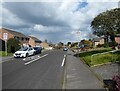 ST5414 : Lime Tree Avenue, Yeovil by Adrian Taylor